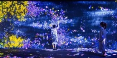 teamLab——風靡全球的沉浸式網紅展項體驗！